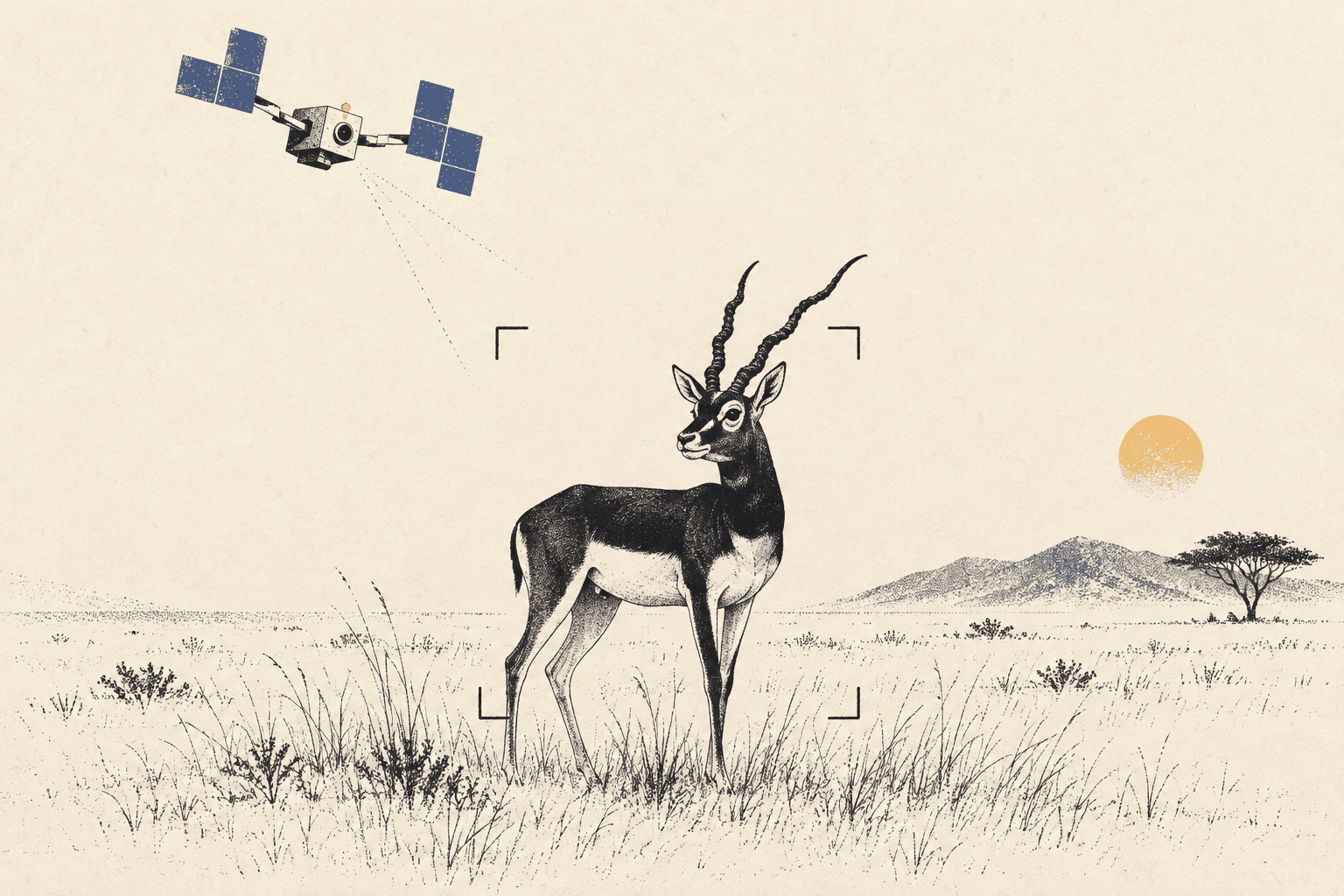 A geometric drone observing a blackbuck in sparse grassland